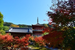 太山寺・三重塔②