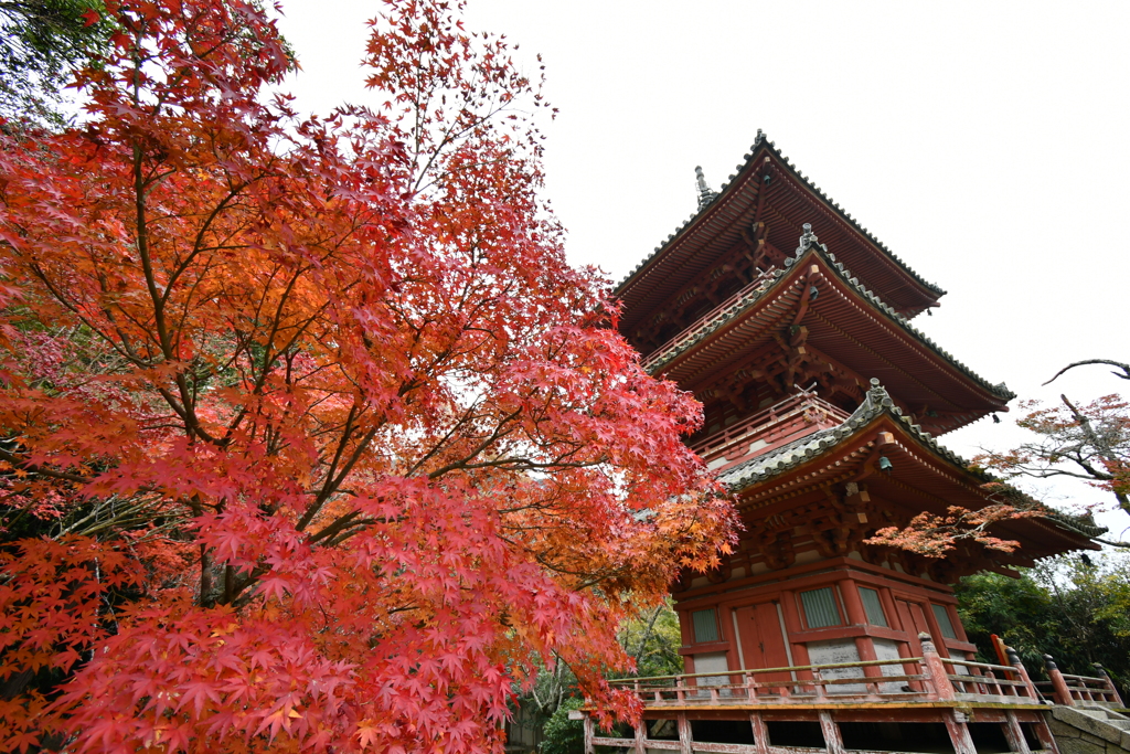 神戸・太山寺③