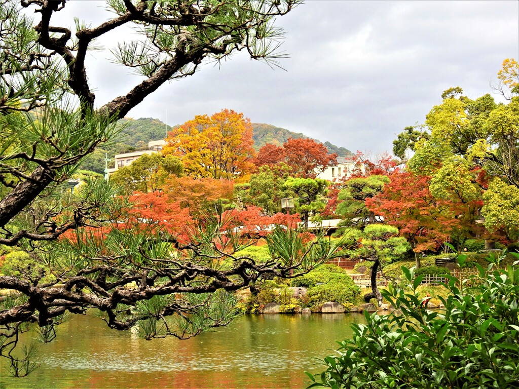 神戸市立相楽園の紅葉⑧