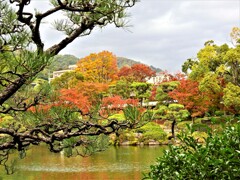 神戸市立相楽園の紅葉⑧