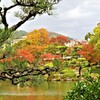 神戸市立相楽園の紅葉⑧
