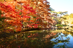 神戸市立森林植物園④