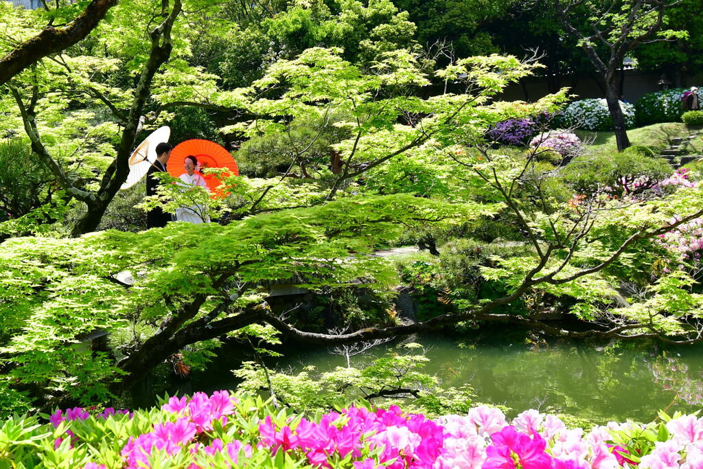 相楽園④