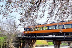 高田川と近鉄電車③