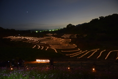 千早赤坂村・下赤坂の棚田