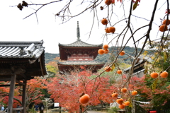 神戸・太山寺⑦