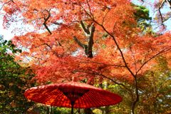 瑞宝寺公園⑧