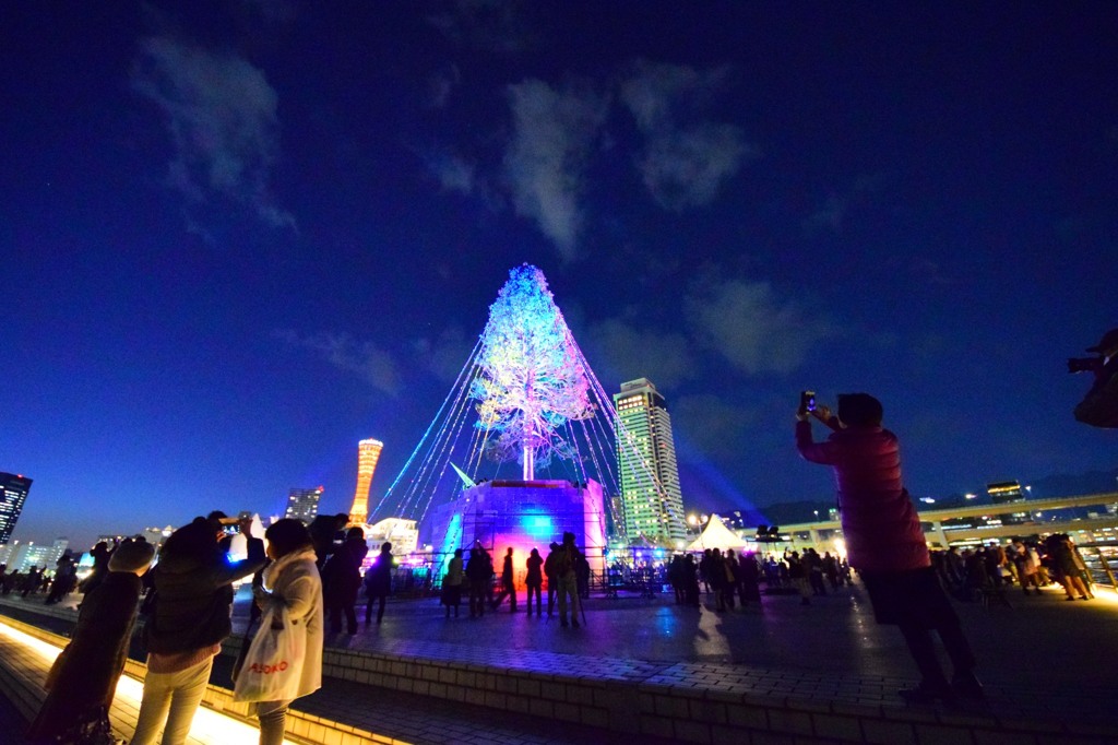 神戸港からメリークリスマス④