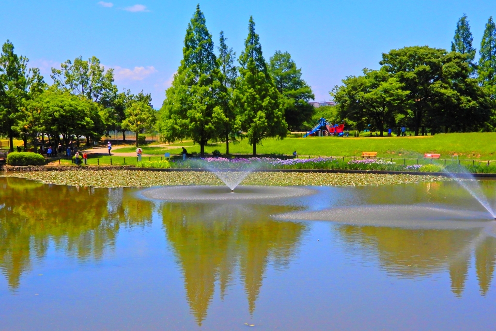 白鷺公園①