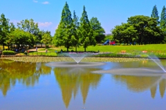 白鷺公園①