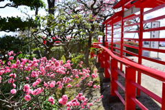 中山寺梅林⑤