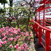 中山寺梅林⑤