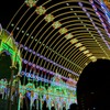 第２３回・神戸ルミナリエ⑫