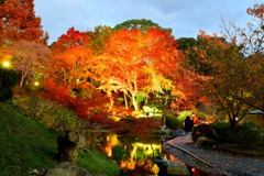 須磨離宮公園①