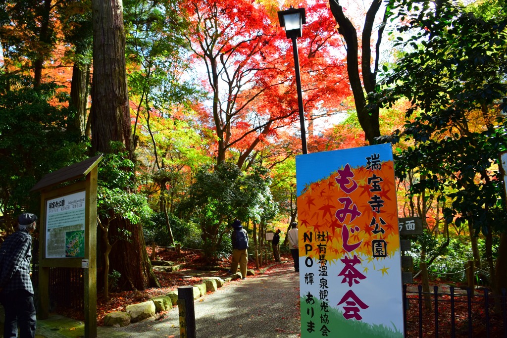 瑞宝寺公園⑦