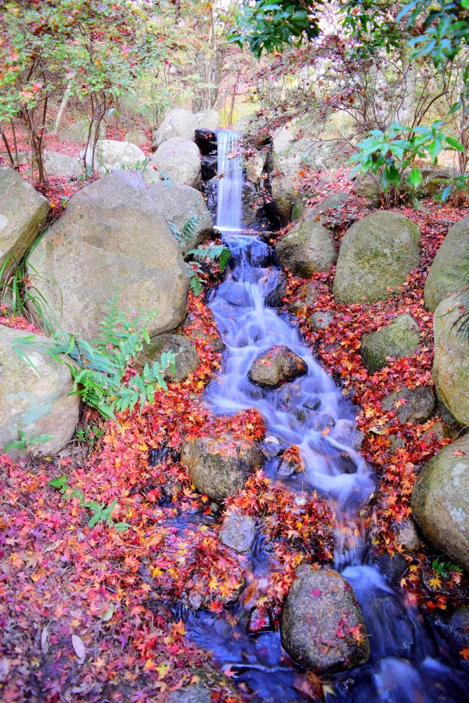 森林植物園①