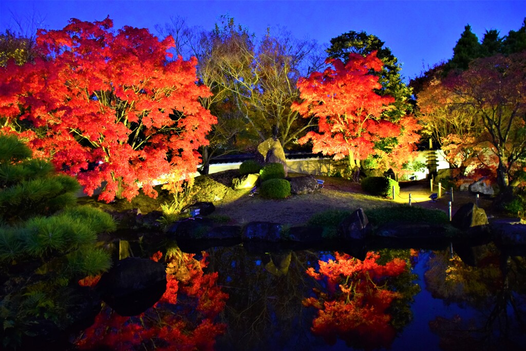 姫路・好古園の紅葉ライトアップ①