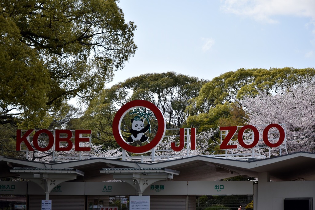 王子動物園④
