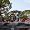 王子動物園④