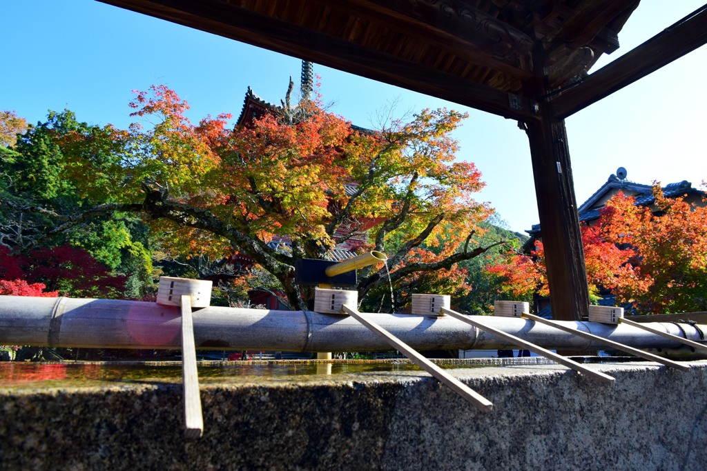 太山寺・手水舎②