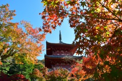 太山寺・三重塔①