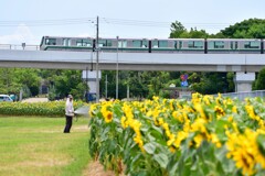 ひまわり公園⑦