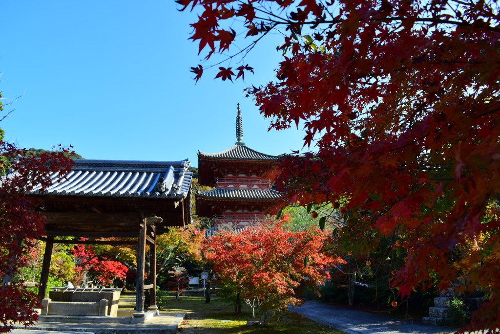 太山寺・三重塔・手水舎