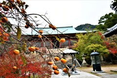 神戸・太山寺⑧