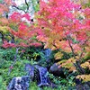 神戸市立相楽園の紅葉⑤
