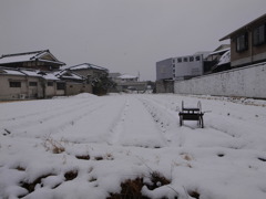 雪