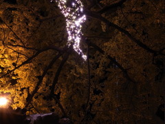 ある日の御堂筋