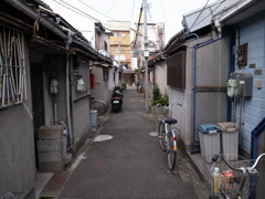 路地生まれ