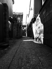 野良猫の視点