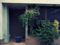 廃墟