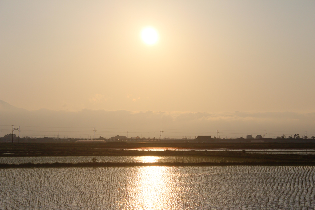 田んぼの夕日