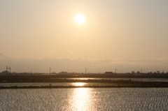 田んぼの夕日