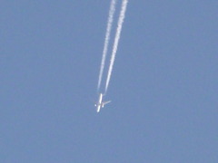 飛行機