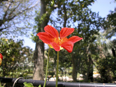 たまには５００万画素のコンデジで＾＾