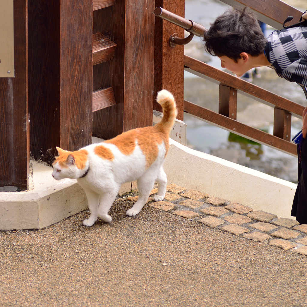 今日はどちらまで？