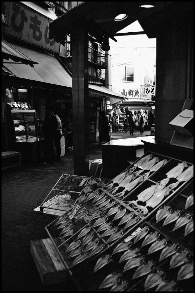 鮮魚売り場