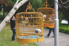 公園