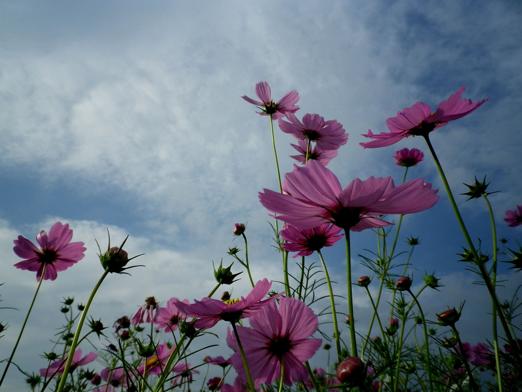 空に向かって