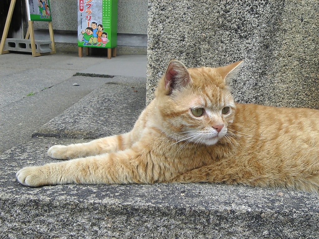 ほっといてよ