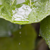 雨　Vol.2