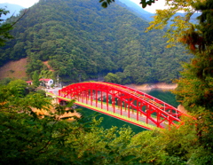 木々の隙間から