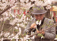 花より団子