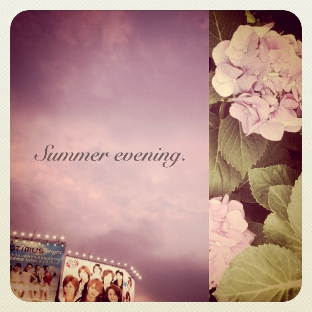 夏の夜