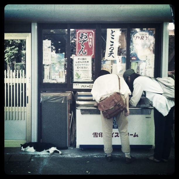 ぽかぽか日和