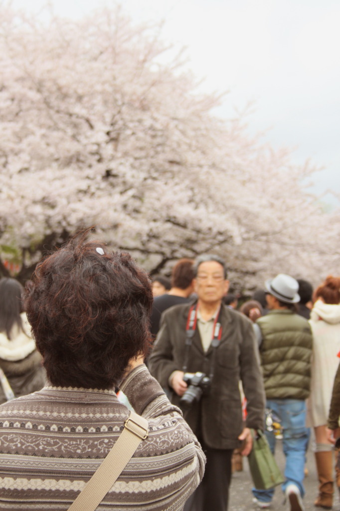桜の髪飾り