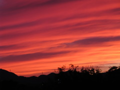 桂川夕日
